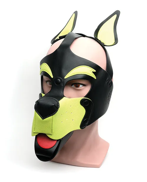 665 Playful Pup Hood - Black & Yellow